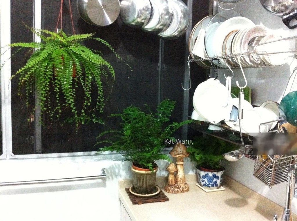 Blk 122 Ang Mo Kio Avenue 3 (Ang Mo Kio), HDB 3 Rooms #205913051